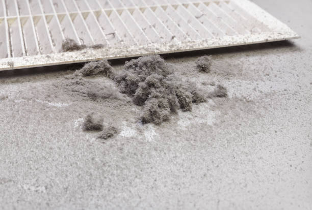 Professional Airduct Cleaning in SC