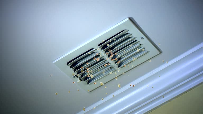 Best Air Duct Cleaning Company Near Me  in Williston, SC