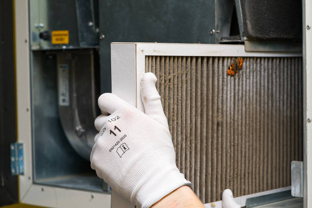 Best Commercial HVAC Duct Cleaning  in Williston, SC