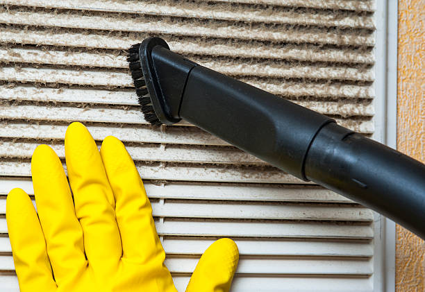 Best Ductwork Cleaning Services  in Williston, SC